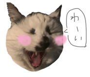 842300566