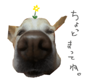 842300573