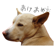 842300582