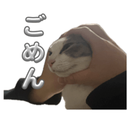 842300655