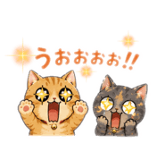 842301157