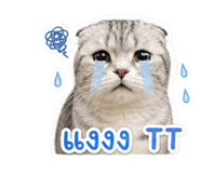 842302892