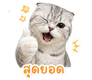 842302904