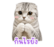 842302905