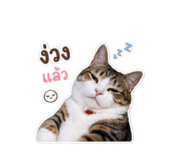 842303036