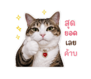 842303046