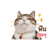 842303049