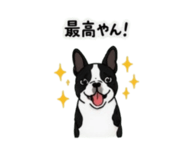 842303337