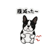 842303338
