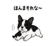 842303339
