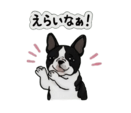 842303341
