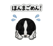 842303345