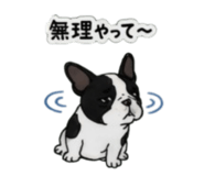 842303346