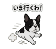 842303348