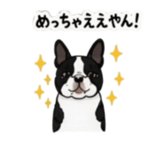 842303360