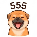 842303537
