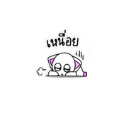 842303622