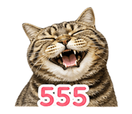 842303714