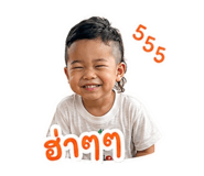 842304319