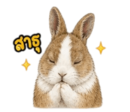 842304344