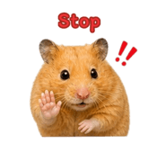 842304402