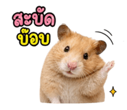 842304516