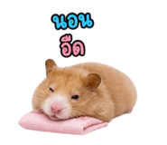 842304539