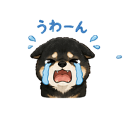 842304692