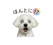 842304880