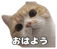 842304945