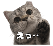 842304947