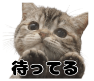 842304948