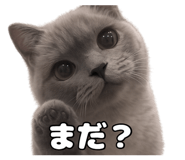 842304949