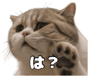 842304950