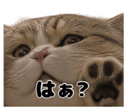 842304951