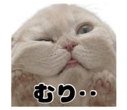 842304952