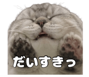 842304959