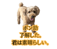 842304996
