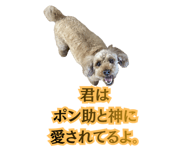 842305005