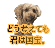 842305008