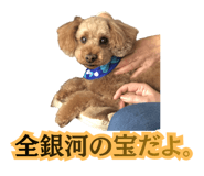 842305013