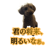 842305016