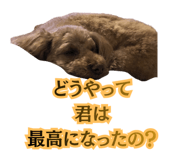 842305017