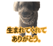 842305019