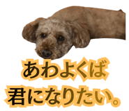842305020