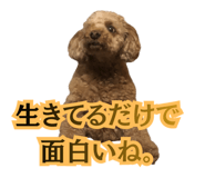 842305022