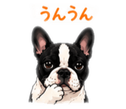 842305587