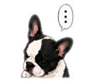 842305616