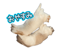 842305653