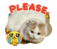 842305663